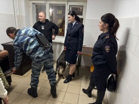 Изображение-WhatsApp-2025-11-27-в-09.52.17_47ec6407