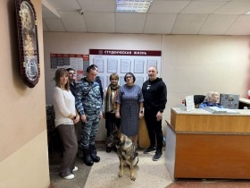 Изображение-WhatsApp-2025-11-27-в-09.52.28_2a05c9e8